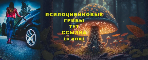 каннабис Богданович