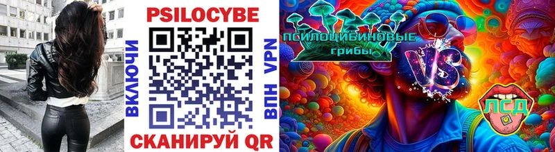 Галлюциногенные грибы Cubensis MEGA tor Владикавказ