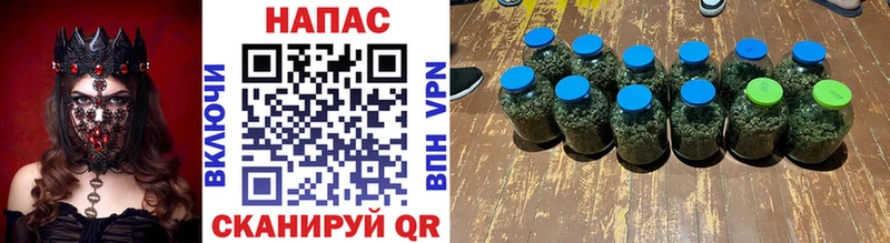 Бошки марихуана сатива  Владикавказ 